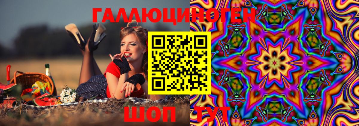 Псилоцибиновые грибы прущие грибы Кудрово