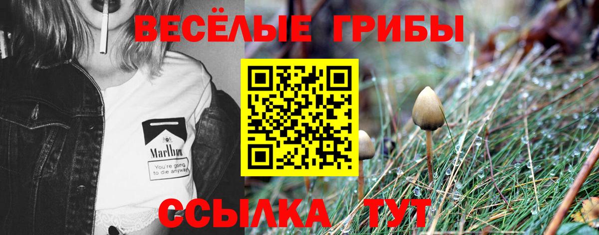 Галлюциногенные грибы мицелий  Галлюциногенные грибы MAGIC MUSHROOMS  Вход с VPN  Кудрово 