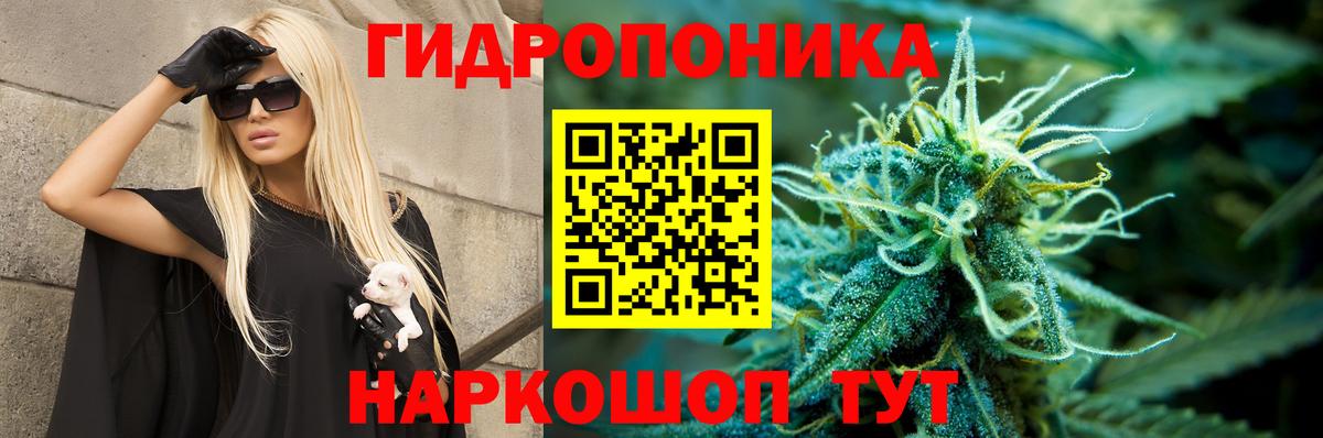 Бошки марихуана SATIVA & INDICA  Вход с VPN  Кудрово  Конопля White Widow 